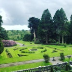 Amazing wedding - Review of Markree Castle, Clooneenroe, Ireland - Tripadvisor Amazing wedding  - Review of Markree Castle... 