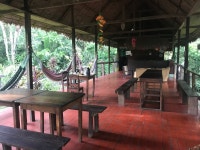 The Most Incredible Amazon Experience - Review of Ecoaventuras Amazonicas, Puerto Maldonado, Peru - Tripadvisor