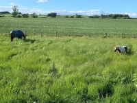 Wow! What a wonderful place - Review of Elmfield House, Bedale, England - Tripadvisor Wow! What a wonderful place  - Review of... 