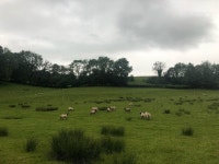 Authentic Traditional Wales - Review of Cwmgwyn Farm Cottage, Llandovery, Wales - Tripadvisor