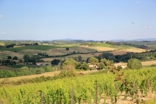 Gorgeous agriturismo with a breathtaking view - Review of Villa il Castagno Wine Resort & Restaurant, Siena, Italy - Tripadvisor