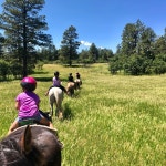 Wonderful Family Vacation - Review of Majestic Dude Ranch, Mancos, CO - Tripadvisor