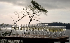 Amazing Wedding - Amazing Venue - Amazing Staff - Review of Pacific Gateway Wilderness Lodge, Bamfield, British Columbia... 