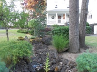Amazing B&B - Review of Sandes of Time Bed & Breakfast, Portland, OR - Tripadvisor