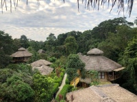 Amazing! - Review of La Selva Eco-lodge & Retreat, Yasuni National Park, Ecuador - Tripadvisor