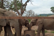 2025 Spring Break March 2020 in Ghana West Africa! (Accra) - with Trusted Reviews