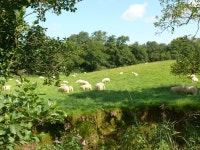 Loving attention to detail - Review of Cwt Gwyrdd Shepherds Hut and Pod Glamping, Crosswell, Wales - Tripadvisor Loving... 