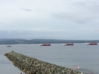 Get a way - Review of Beach Gardens Resort & Marina, Powell River, British Columbia - Tripadvisor