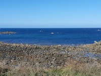 Easy accessible by bus - Review of The Peninsula Hotel, Vale, Guernsey - Tripadvisor