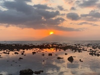 Nicest spot on the island - Review of Le Pirate Beach Club Gili T Hotel, Gili Trawangan, Indonesia - Tripadvisor