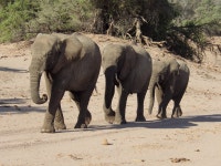 Truly stunning! - Review of Wilderness Safaris Doro Nawas, Damaraland, Namibia - Tripadvisor