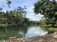 Beautiful place to relax, eat and enjoy rio Dulce! - Review of Boatique Hotel And Marina, Rio Dulce, Guatemala - Tripadvisor