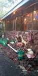 Wow wow - Review of Mondi Lodge Kisoro, Kisoro, Uganda - Tripadvisor