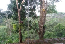 Nice place ! - Review of Evergreen Villa - Sinharaja, Mederipitiya, Sri Lanka - Tripadvisor