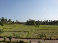 2nd visit and I still like it - Review of Manyi Village, Ubud, Indonesia - Tripadvisor