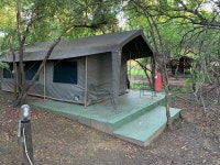 First African Safari - Review of Marc's Treehouse Lodge, Kruger National Park, South Africa - Tripadvisor