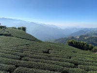 A stay among High Mountain Alishan tea - Review of Alishan B&B Yunmingi, Zhuqi, Chiayi County - Tripadvisor