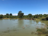 Wonderful stay + best Safari! - Review of Splendid Lake View Safari Lodge, Udawalawe National Park, Sri Lanka - Tripadvisor