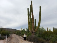 Stunning location, amazing construction, wonderful hosts and staff! - Review of Playa Frambes Lighthouse Resort, Mulege, Mexico... 