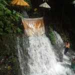 Sebatu 소재 농장: Sebatu 소재 농장 확인 - 트립어드바이저