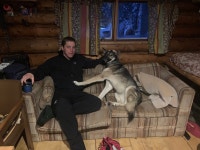 Dog sledding adventure - Review of EarthSong Lodge, Healy, AK - Tripadvisor Dog sledding adventure  - Review of EarthSong Lodge... 