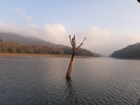 Oasis of calm - Review of KTDC Lake Palace, Thekkady, India - Tripadvisor