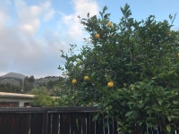 Californian Road Trip: Day 5 - Review of Contenta Inn, Carmel Valley, CA - Tripadvisor