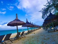 BEST 팔마 투어 - Tripadvisor
