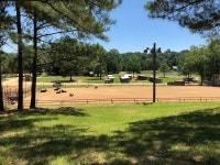 Horse back riding - Review of Brushy Creek Guest Ranch, Gloster, MS - Tripadvisor Horse back riding  - Review of Brushy Creek... 