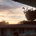Clean vintage beach motel - Review of Swell Motel, Buxton, NC - Tripadvisor