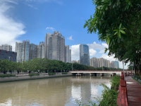 My most comfortable trip during this COVID-19 pandemic outbreak - Review of Grand Hyatt Guangzhou, Guangzhou, China - Tripadvisor