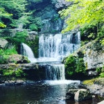 Nice resort with a few kinks - Review of Skytop Lodge, Skytop, PA - Tripadvisor