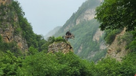 Kussu Attractions | Tripadvisor