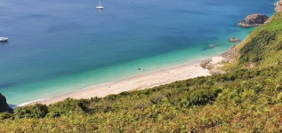The Perfect Location - Review of Polruan Holidays Camping & Caravanning, Polruan, England - Tripadvisor