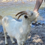 BEST Tukhlya 랜드마크 - Tripadvisor