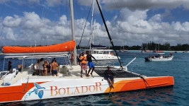 2026 Turtle and Shipwreck adventure on 57 ft catamaran (Barbados) - with Trusted Reviews