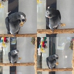 Nice Hotel with Poor Wi-Fi - Review of Holiday Inn Express & Suites Pigeon Forge - Sevierville, Sevierville, TN - Tripadvisor... 