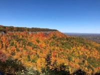Perfect stay at the Gardner Farm Inn! - Review of Gardner Farm Inn, Troy, NY - Tripadvisor