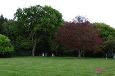 Simple, nice and tranquil - Review of Pahiatua Carnival Park, Pahiatua, New Zealand - Tripadvisor