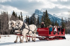 2025 1 Hour Bow River Ride (Banff) - with Reviews