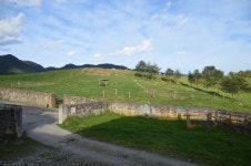 farm hotel - Review of Hostal La Laguna, Villamaria, Colombia - Tripadvisor