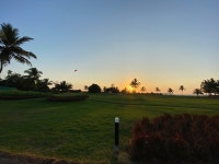 Holiday inn is the best family resort in south goa - Review of Holiday Inn Resort Goa, an IHG hotel, Cavelossim, India - Tripadvisor