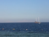 Excellent Stay ! - Review of Renaissance Sharm El Sheikh Golden View Beach Resort, Sharm El Sheikh, Egypt - Tripadvisor