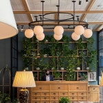 Beautiful, centrally-located hotel with courteous staff - Review of The Drayton Hotel Savannah, Curio Collection By Hilton... 