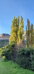 Comfortable Campsite and good Ablusion facilities - Review of Glen Reenen Golden Gate NP, Clarens, South Africa - Tripadvisor