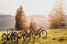 2025 Guided E-Bike Day Trips Dorset (Poole) - w/ Trusted Reviews