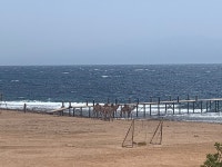 Comfort stay - Review of Sea Sun Hotel, Dahab, Egypt - Tripadvisor