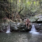 Weddingmoon bliss - Review of Crystal Creek Rainforest Retreat, Upper Crystal Creek, Australia - Tripadvisor Weddingmoon bliss... 