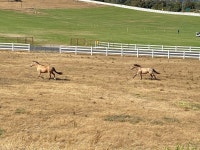 Not worth it. - Review of Madonna Inn, San Luis Obispo, CA - Tripadvisor