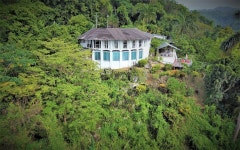 True Jamaican experience. Wonderful Hosts. Stunning Views. - Review of The Fan Villa, Port Antonio, Jamaica - Tripadvisor True... 